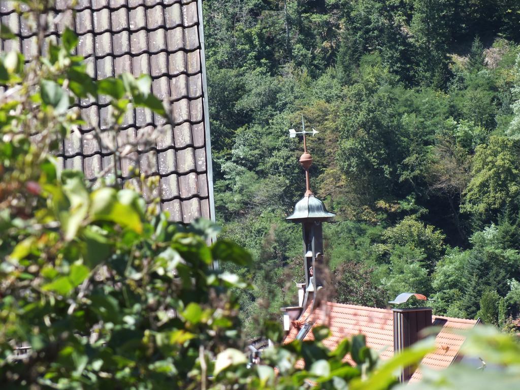 Hotel-Gasthof Zum Weyssen Roessle Schiltach Buitenkant foto